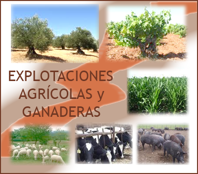 Explotaciones agropecuarias